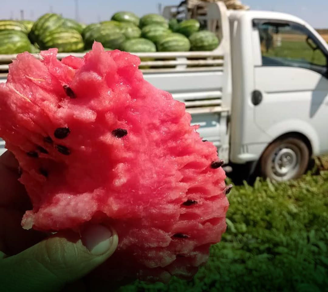من الحقل إلى السيارة